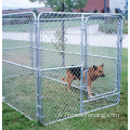 Métal extérieur grand chenil de chien de cage pour animaux de compagnie